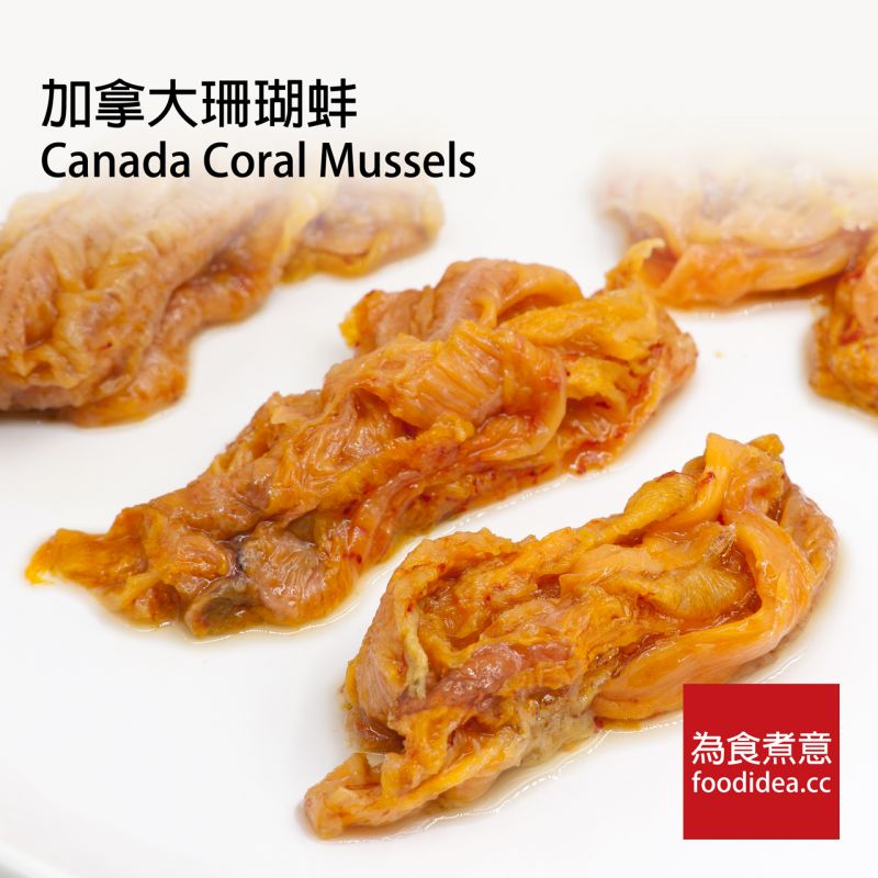 珊瑚蚌桂花蚌都不是蚌