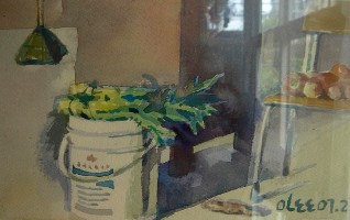 ��һ�꣬��ʣһֻ�����źþ�