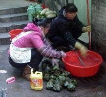 ɽ��Ҳ�У������ѵģ�ϴϴ����...��...