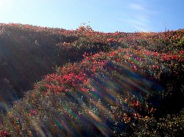 Chain Lake Trail