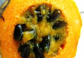 �򿪵ġ�����ſ��