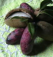 ���¹ϣ��Ͱ���˵���Ǳ߽е��ǣ�˵�����óԣ��ӱ߱Ƚ϶�