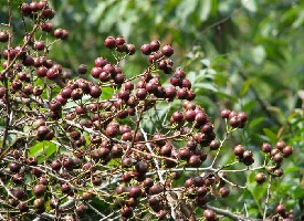 ���ϣ���ˮ����Ұɽ���