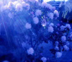 �¸绪���紺��ů�ͣ�ɽ�ž飬��Ϳ���