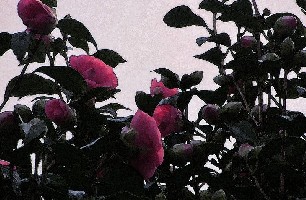 �軨����