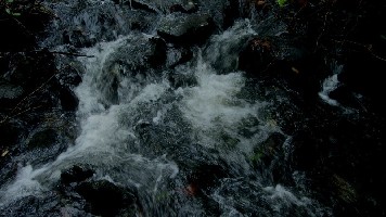 ��ʯ��ᾣ�Ϫ���ļ���������û��������������
